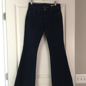BLANK Jeans 27